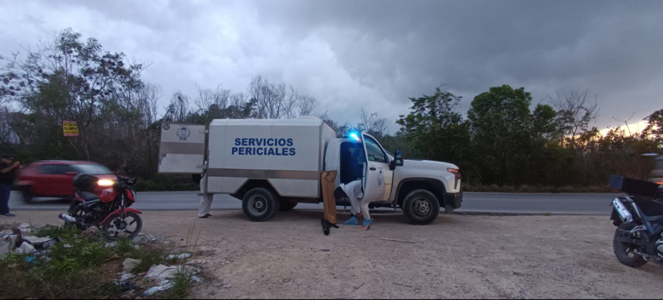 Los Servicios Periciales realizaron el levantamiento del cuerpo. Los Servicios Periciales realizaron el levantamiento del cuerpo.