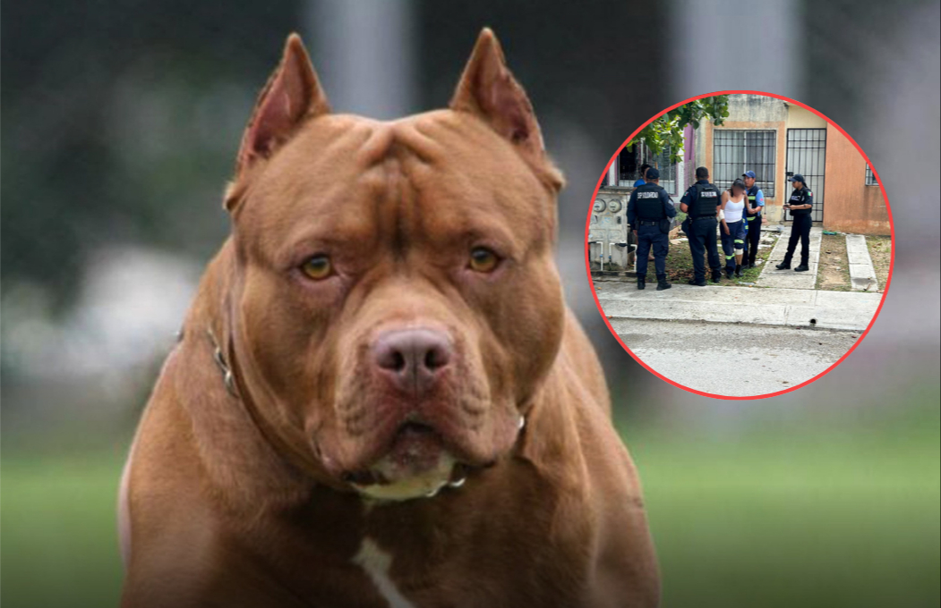 Trabajadora de Aguakan sufre ataque de perro pitbull en Playa del Carmen