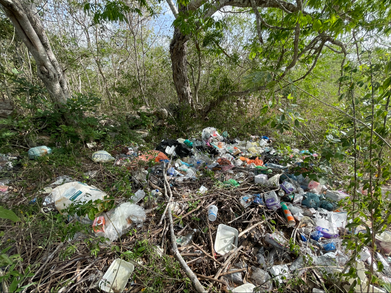 En las salidas de Dzemul se observan montones de basura que contaminan y dan mala imagen En las salidas de Dzemul se observan montones de basura que contaminan y dan mala imagen