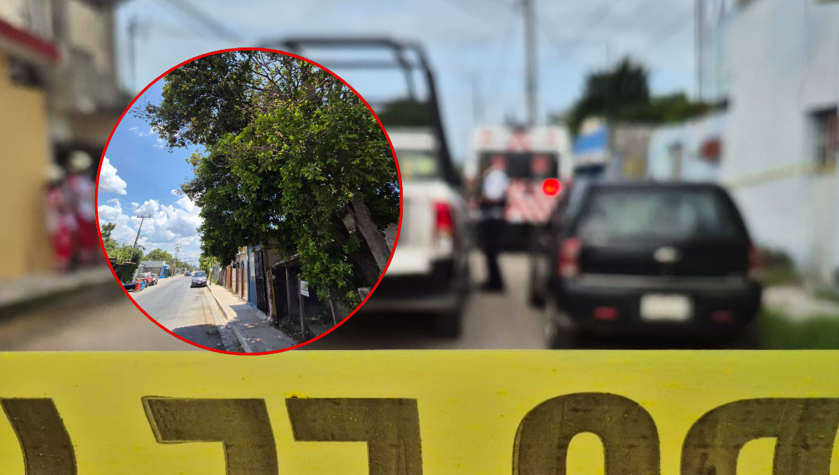 Hombre muere tras caer de un árbol en Santo Domingo Kesté, Champotón Hombre muere tras caer de un árbol en Santo Domingo Kesté, Champotón