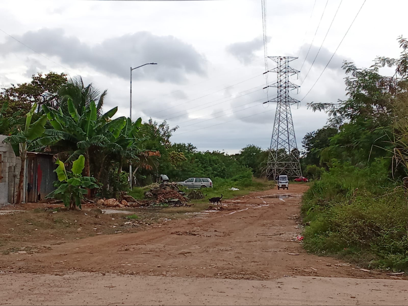 Buscan regularizar 12 mil lotes en zonas de invasión en Othón P. Blanco