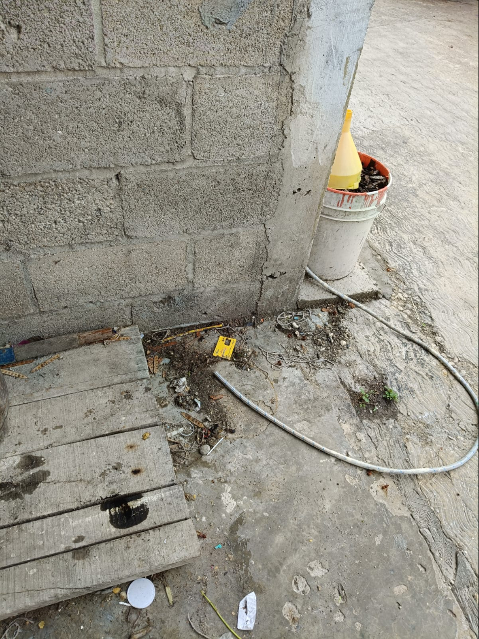 Sustrajeron un tanque de gas LP y una garrafa de aceite comestible. Sustrajeron un tanque de gas LP y una garrafa de aceite comestible.