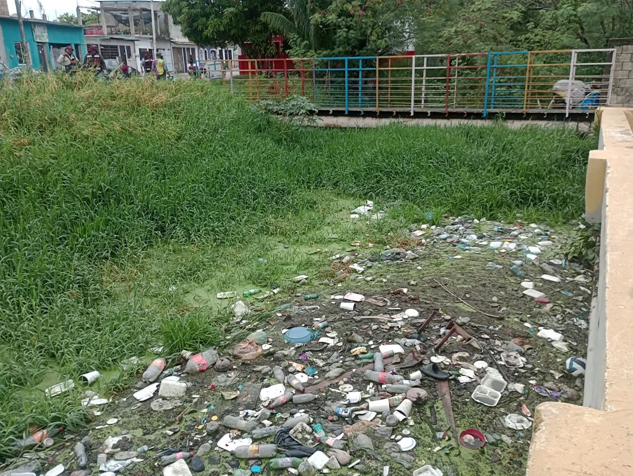 Vecinos denuncian que personas arrojan basura durante la noche desde vehículos. Vecinos denuncian que personas arrojan basura durante la noche desde vehículos.