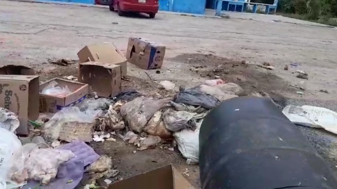 Moscas y restos de carne contaminan zona de alimentos en mercado de Becal