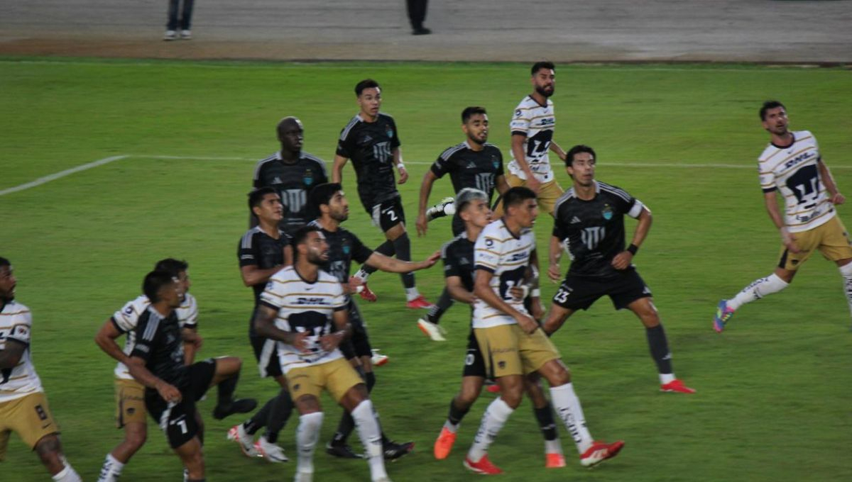 No se hacen daño Iguanas y Pumas en el Andrés Quintana Roo No se hacen daño Iguanas y Pumas en el Andrés Quintana Roo