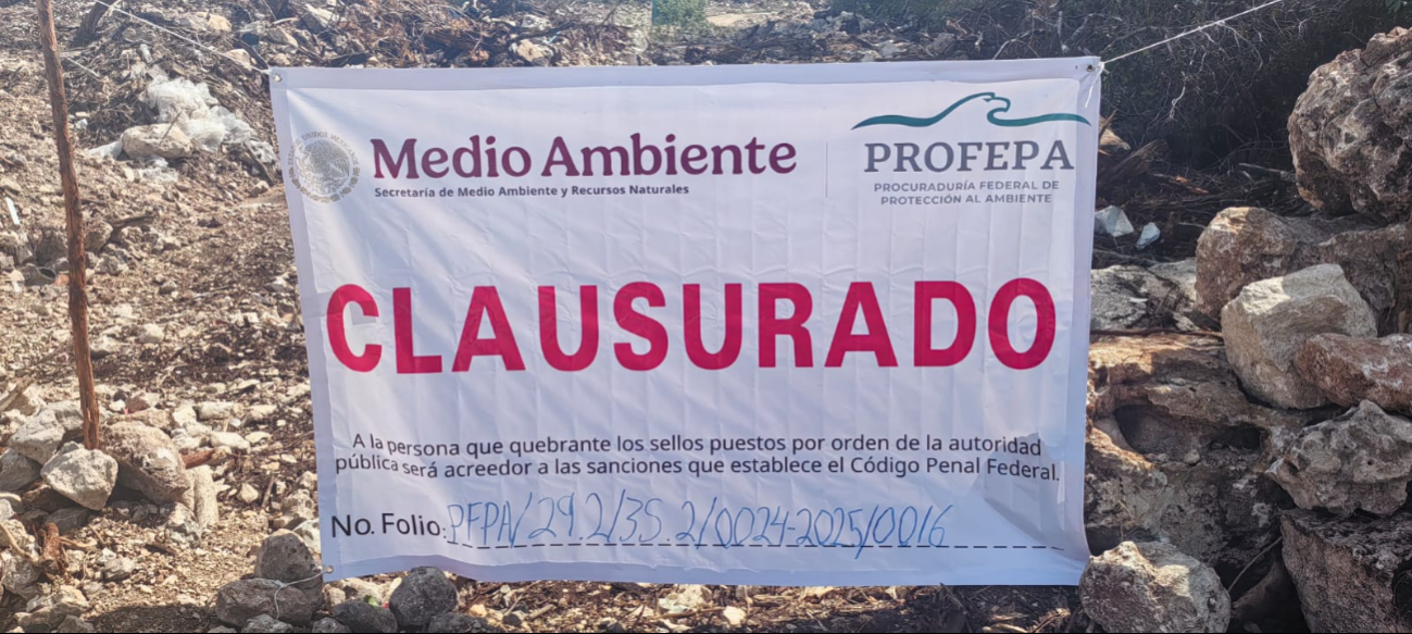 Reportan supuesta violación a los sellos de clausura de la Profepa a las obras de un fraccionamiento en Playa del Carmen