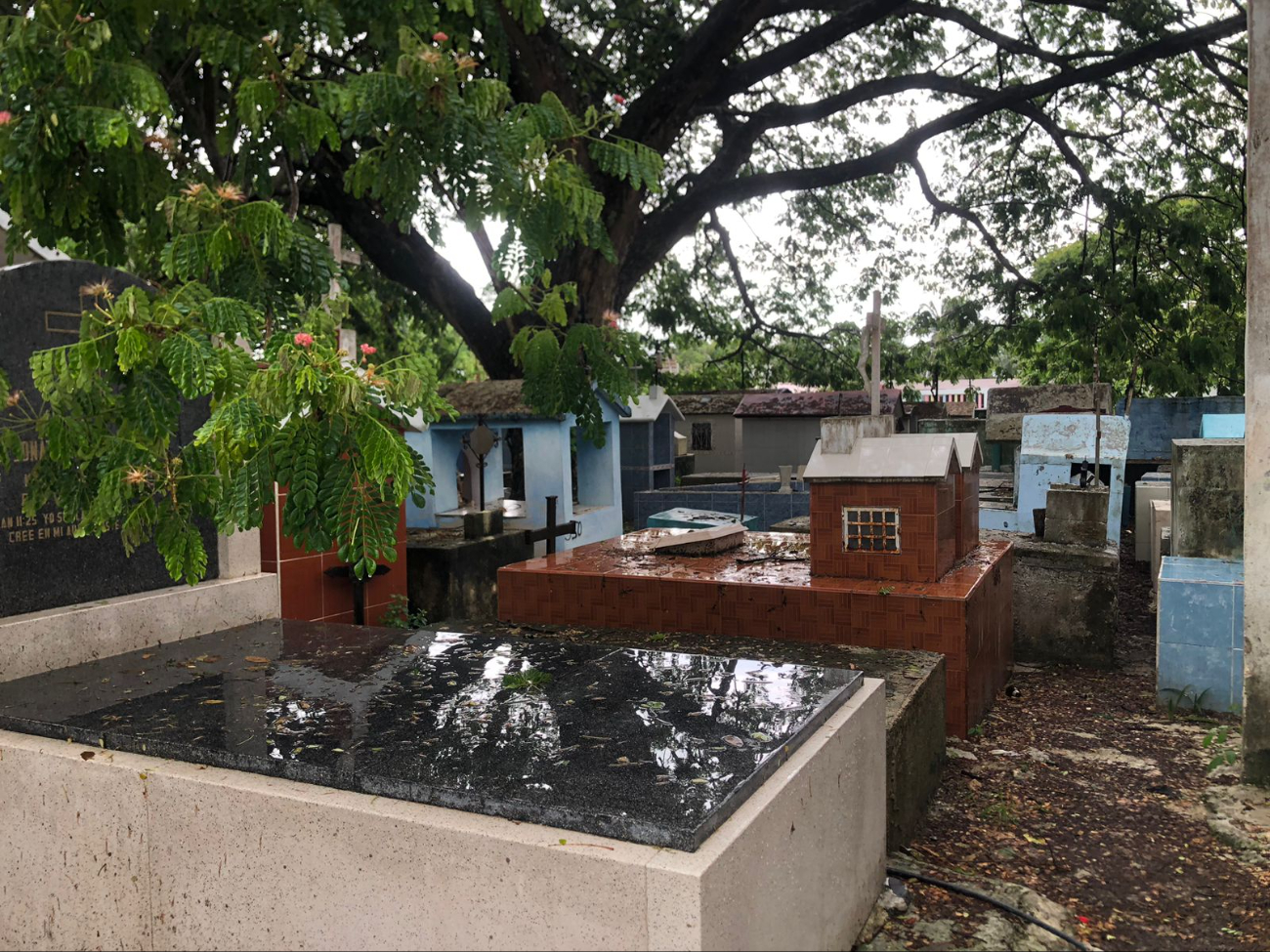En el cementerio municipal ya no hay lugar para más sepulturas. En el cementerio municipal ya no hay lugar para más sepulturas.