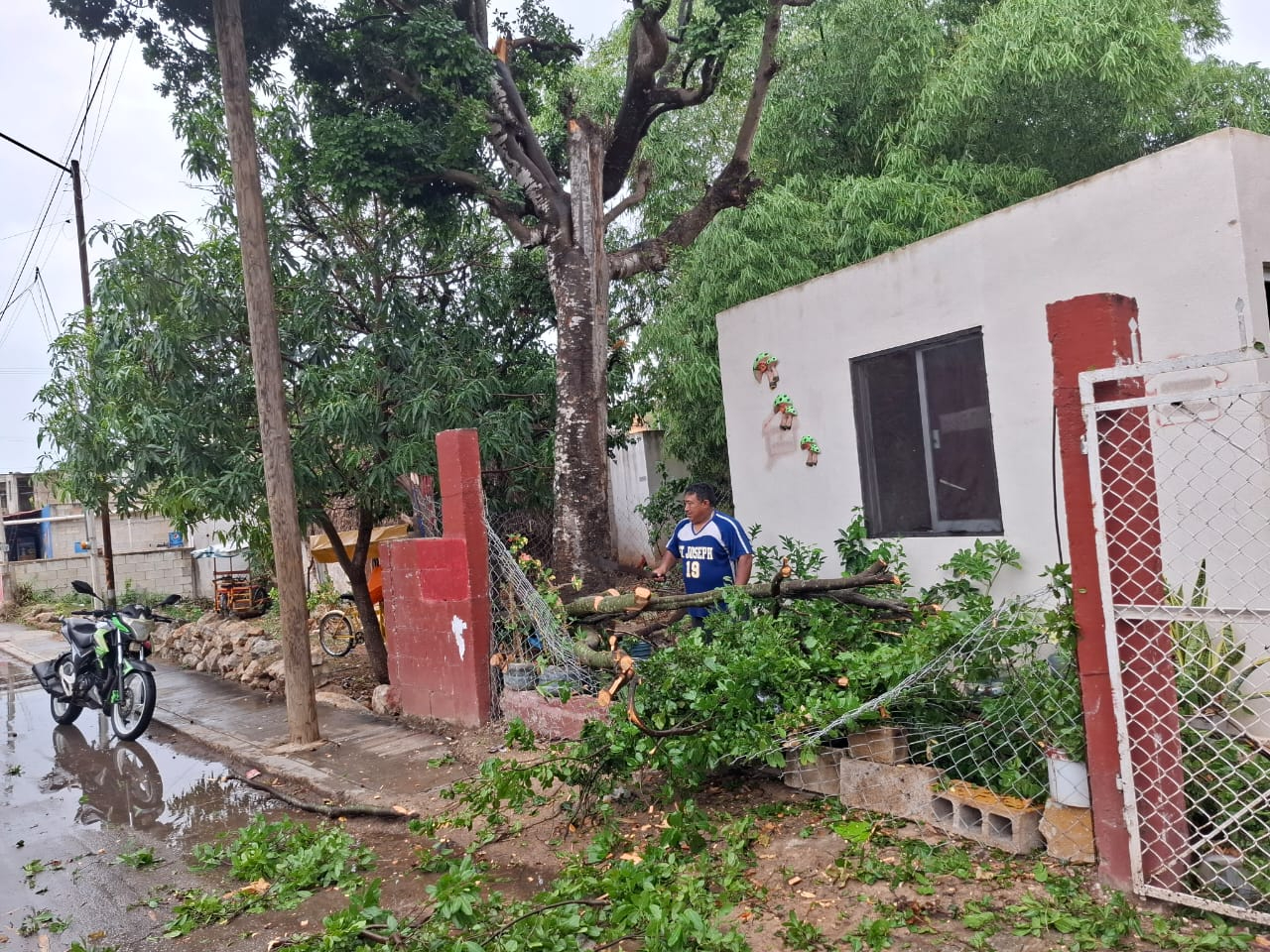 Tormenta eléctrica deja sin luz a vecinos y provoca caída de árboles en La Conquista Tormenta eléctrica deja sin luz a vecinos y provoca caída de árboles en La Conquista