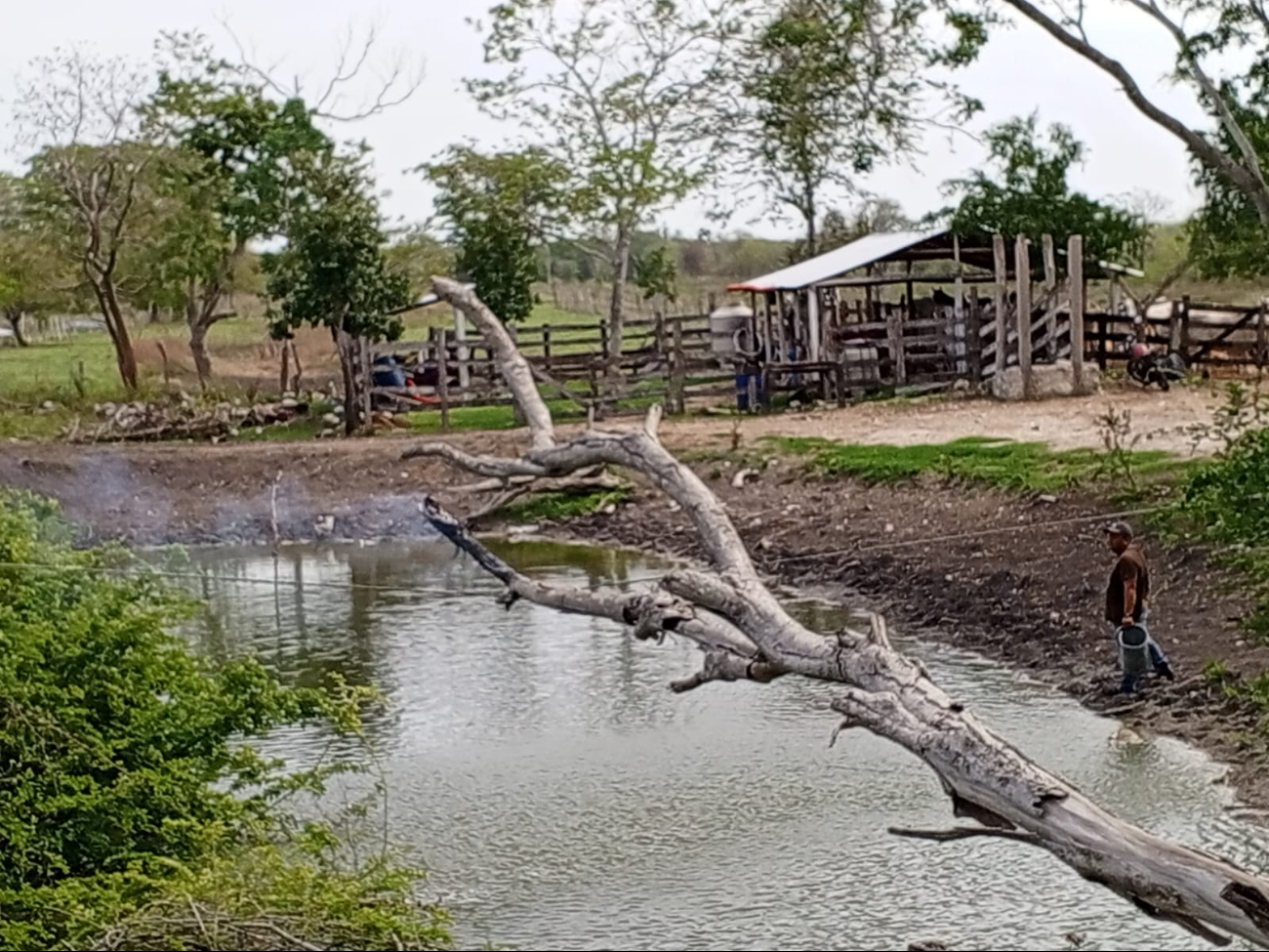 Chilam Balam, sin energía tras lluvias; denuncian constantes apagones Chilam Balam, sin energía tras lluvias; denuncian constantes apagones