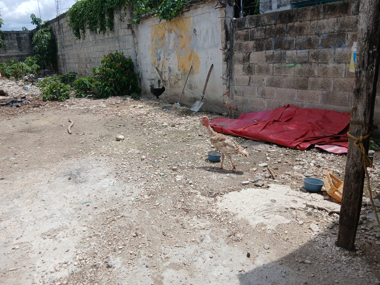 Los moradores estaban descansando cuando ocurrió el robo. Los moradores estaban descansando cuando ocurrió el robo.