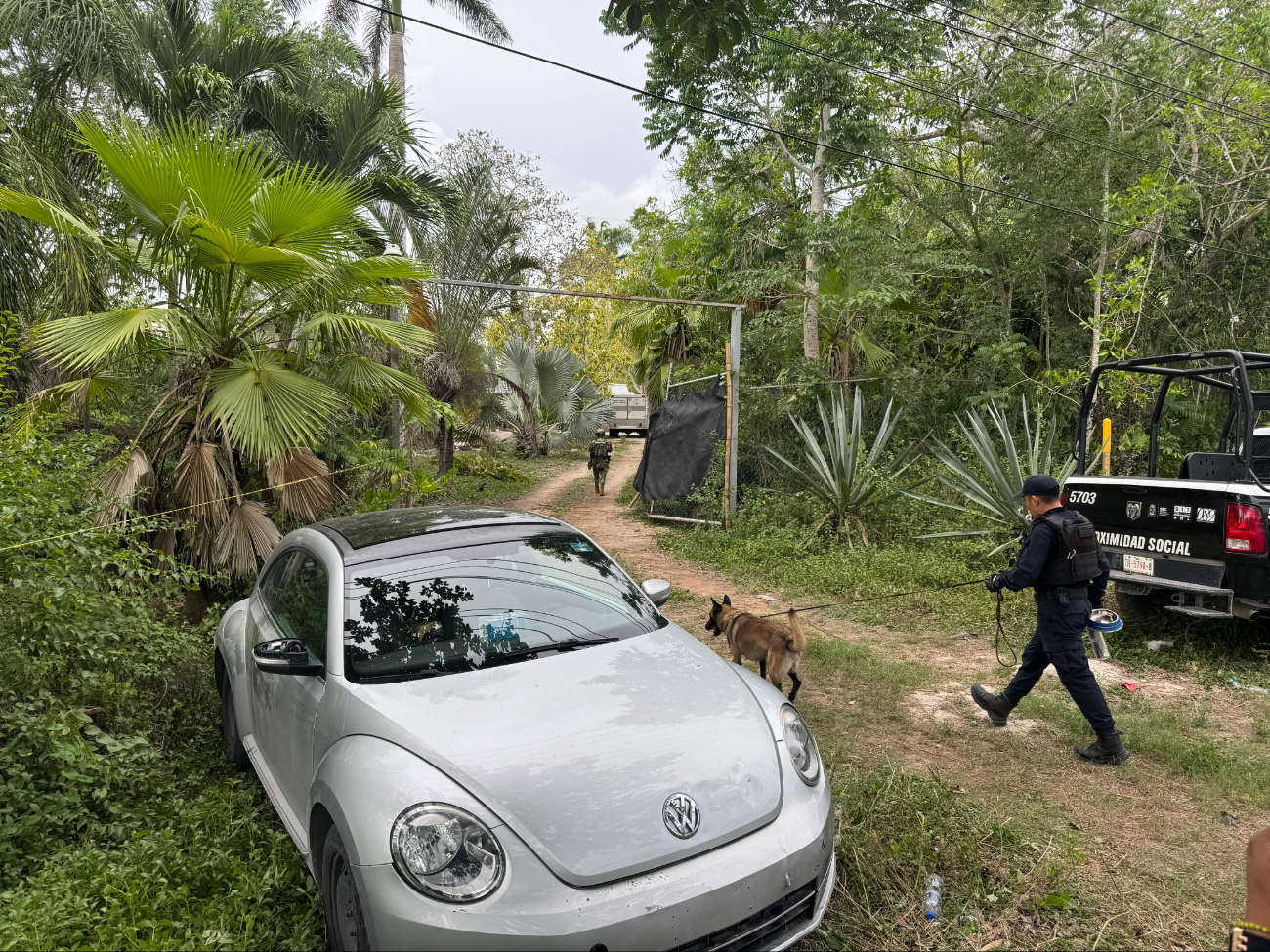 Un K9 marcó una zona cubierta con concreto, dando inicio a una excavación ante la posibilidad del hallazgo de restos humanos Un K9 marcó una zona cubierta con concreto, dando inicio a una excavación ante la posibilidad del hallazgo de restos humanos