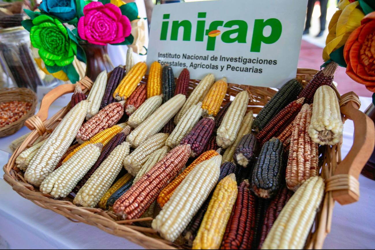 El proyecto incluye a productores, instituciones financieras y empresas de insumos El proyecto incluye a productores, instituciones financieras y empresas de insumos