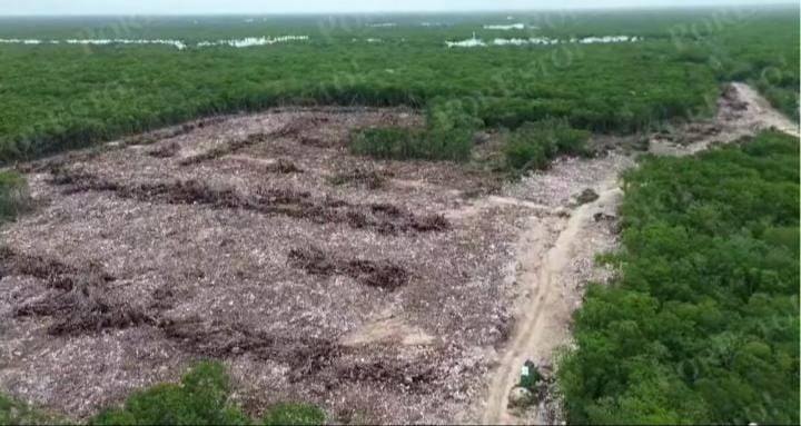 Este mismo mes de junio Profepa y Medio Ambiente Federal lo clausuraron Este mismo mes de junio Profepa y Medio Ambiente Federal lo clausuraron