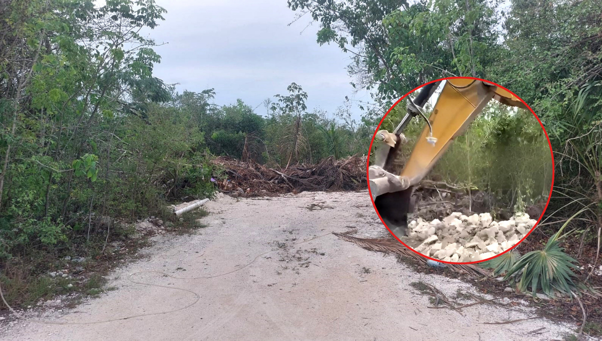 La Dirección de Ecología solicitó a los representantes del proyecto los permisos correspondientes La Dirección de Ecología solicitó a los representantes del proyecto los permisos correspondientes
