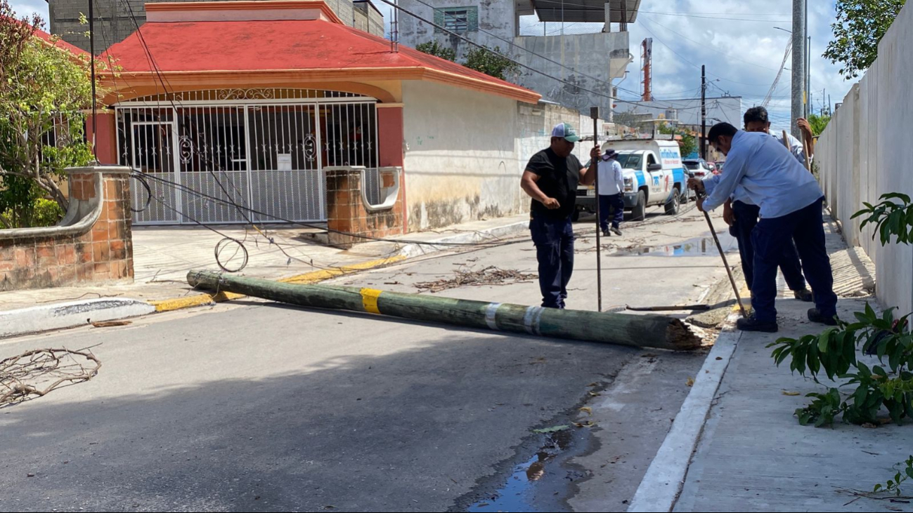 "Poste podrido de madera" colapsa en Campeche; pone en peligro a transeúntes