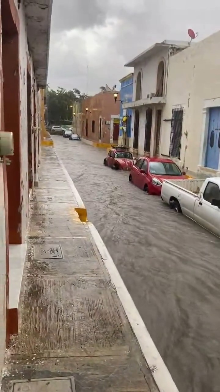 Es una vialidad clave para el tránsito peatonal, vehicular y turístico. Es una vialidad clave para el tránsito peatonal, vehicular y turístico.