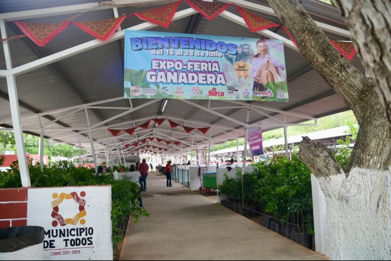Alerta sanitaria en Carmen por gusano barrenador genera afectaciones severas en sector ganadero 