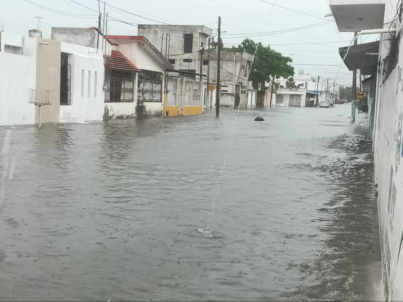 Los niveles del agua de la colonia 08 de octubre logran en ciertas partes llegar hasta las rodillas