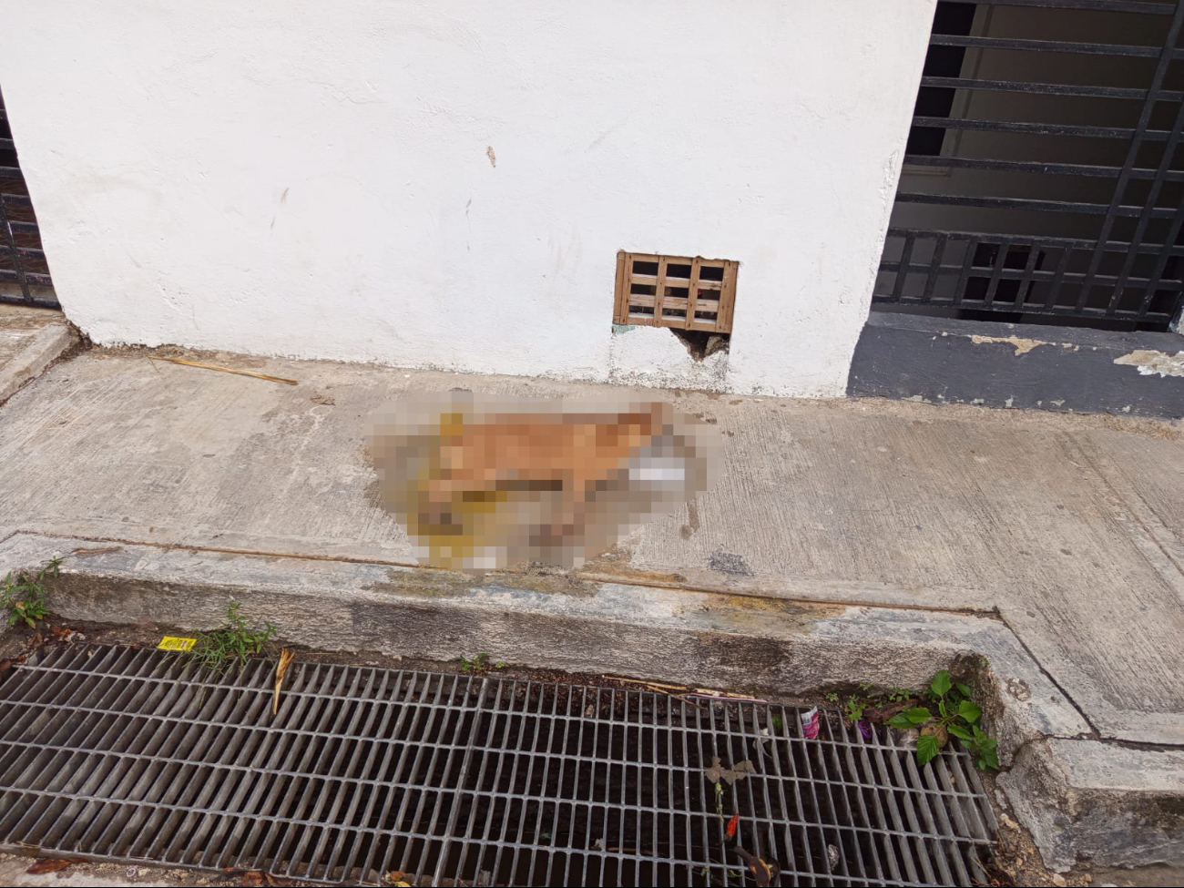 Nadie reclamó el cuerpo, por lo que fue llevado al relleno sanitario
