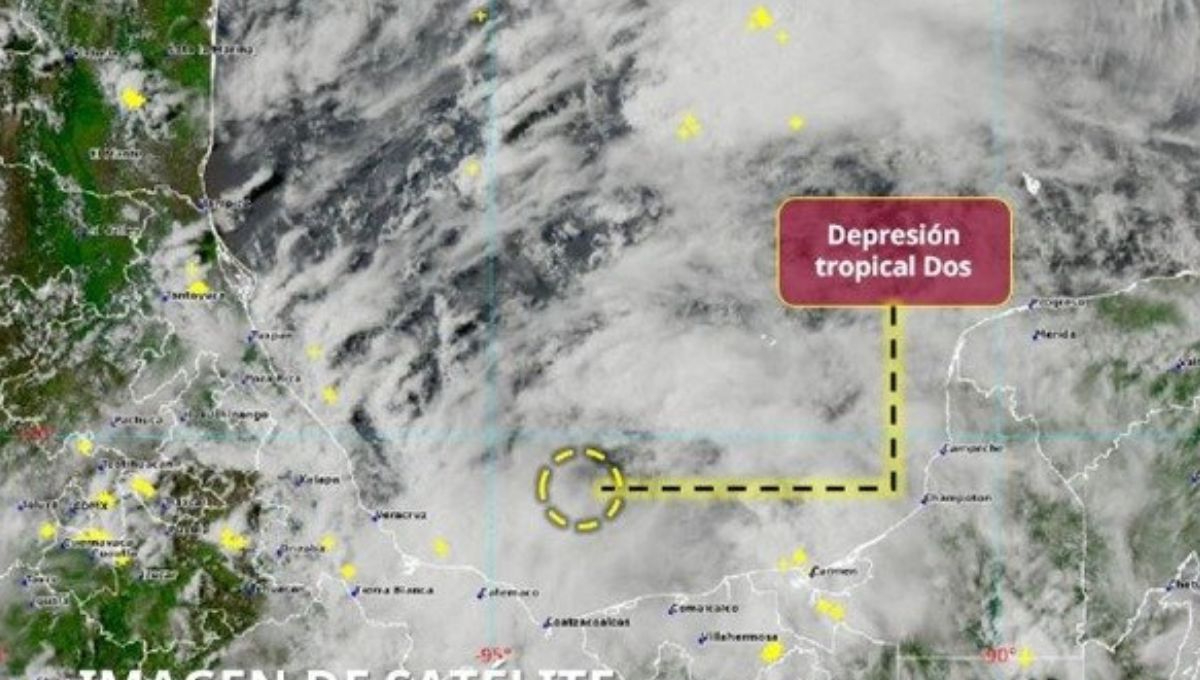 En caso de alcanzar la categoría de Tormenta Tropical, este fenómeno sería nombrado “Barry” En caso de alcanzar la categoría de Tormenta Tropical, este fenómeno sería nombrado “Barry”