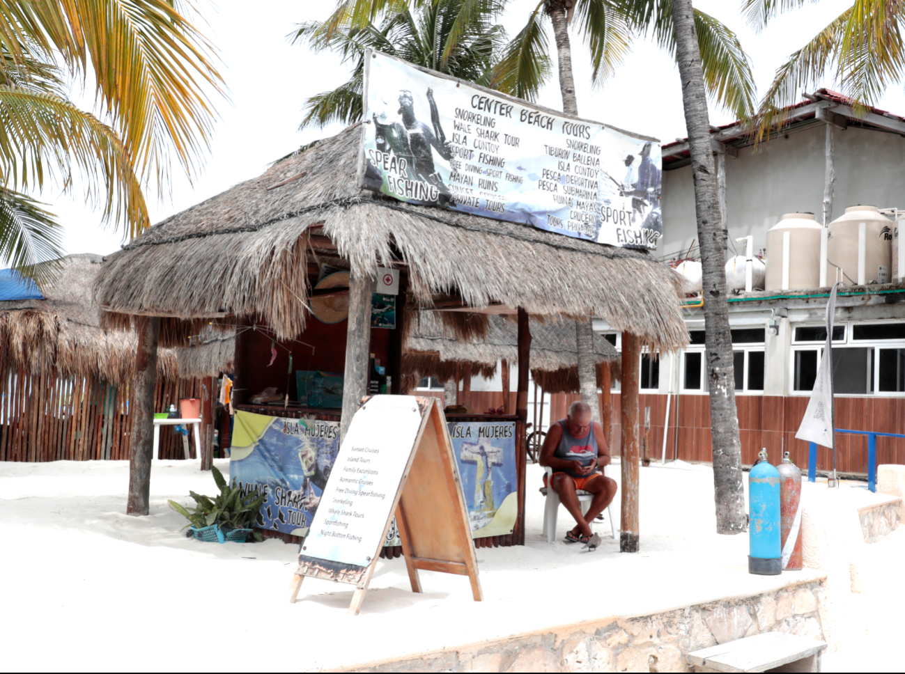 Tiburón ballena en el olvido: Isla Mujeres vive su peor temporada de avistamientos