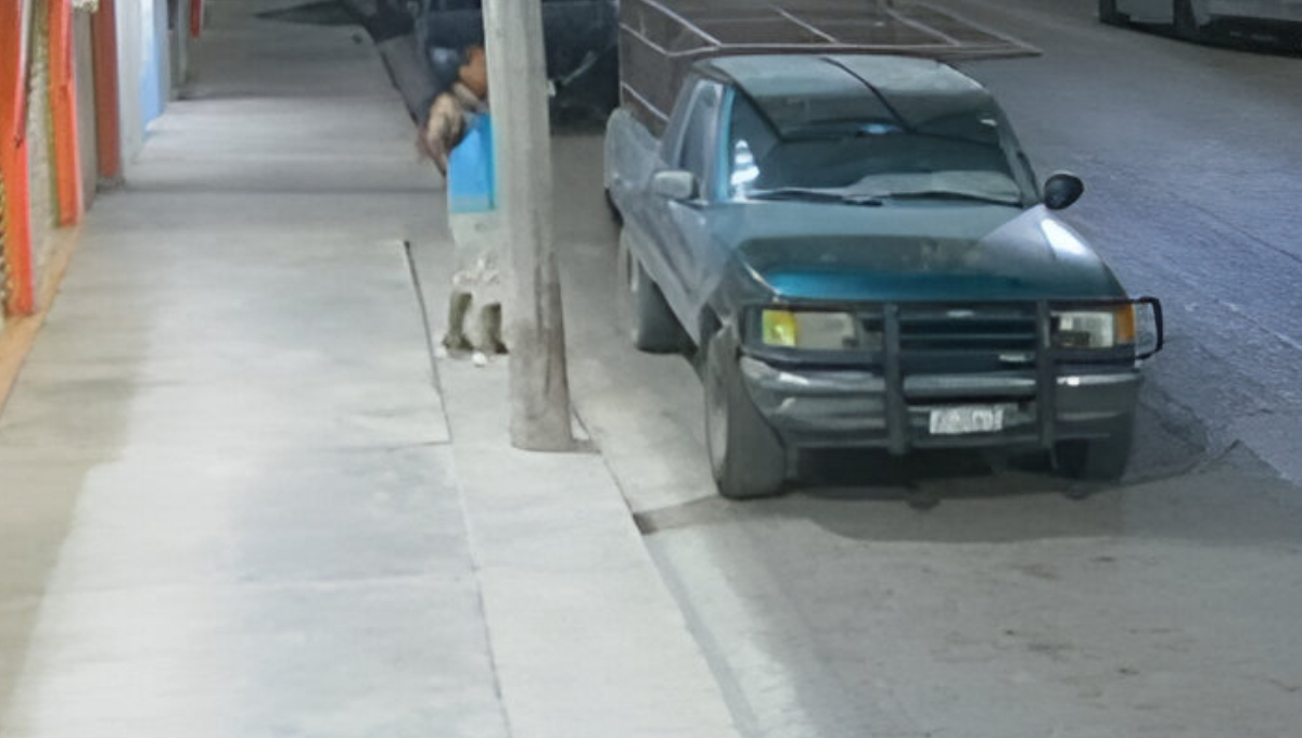 Dueño difunde video del ladrón que le vació la camioneta en Escárcega Dueño difunde video del ladrón que le vació la camioneta en Escárcega