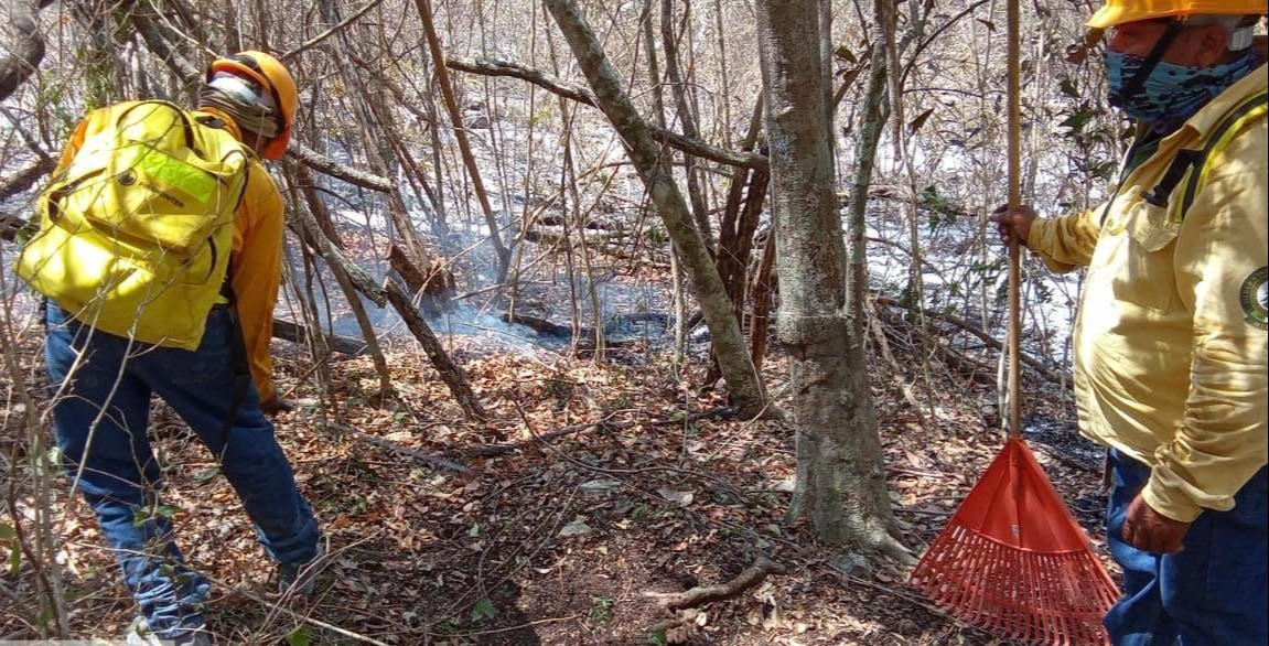 El incendio más complicado fue en el ejido Lechugal, que tardó tres semanas en ser sofocado. El incendio más complicado fue en el ejido Lechugal, que tardó tres semanas en ser sofocado.