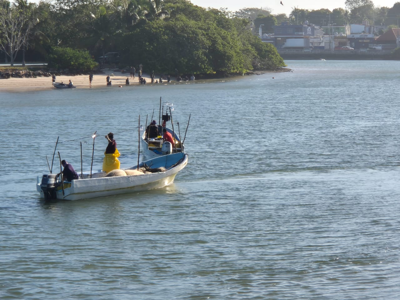 A cambio de “cuotas” se tolera la pesca en veda.