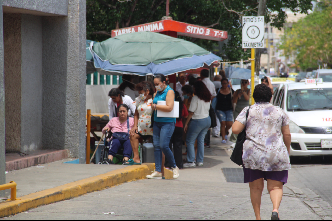 En Yucatán existen por lo menos una docena de alergias comunes.