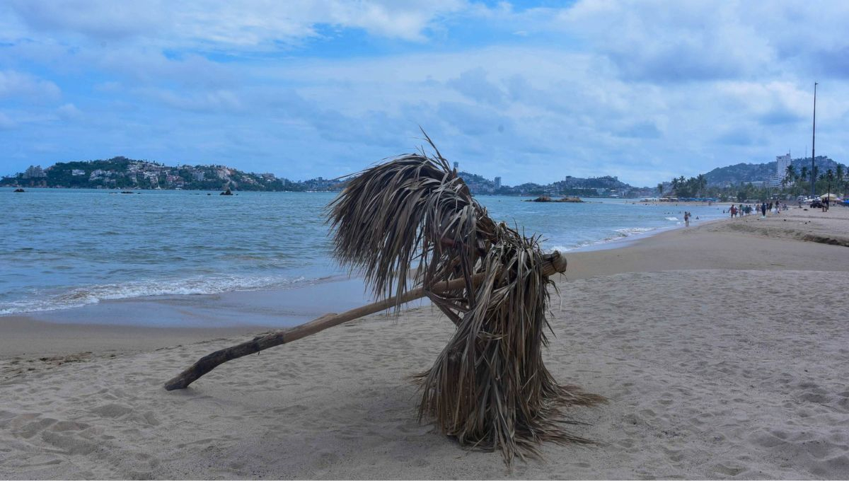 Tormenta Tropical "Flossie" avanza hacia México: dejará lluvias torrenciales y podría convertirse en Huracán