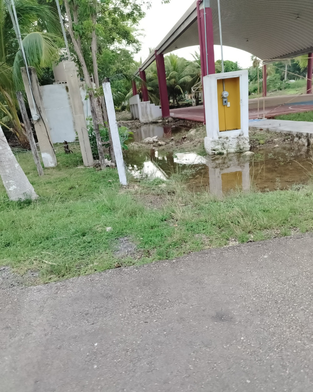 Tras las lluvias, los terrenos se vuelven grandes concentraciones de mosquitos