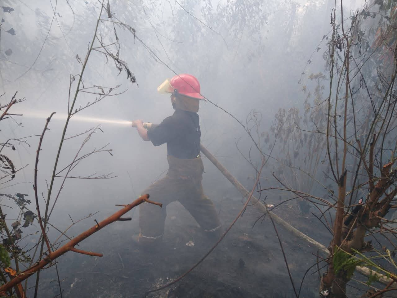 Lluvia no detiene el fuego: bomberos controlan incendio en Escárcega Lluvia no detiene el fuego: bomberos controlan incendio en Escárcega