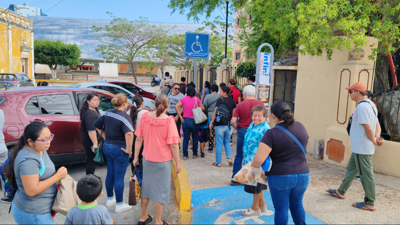 Panal en árbol de escuela desata crisis: Seduc y Comuna se deslindan Panal en árbol de escuela desata crisis: Seduc y Comuna se deslindan
