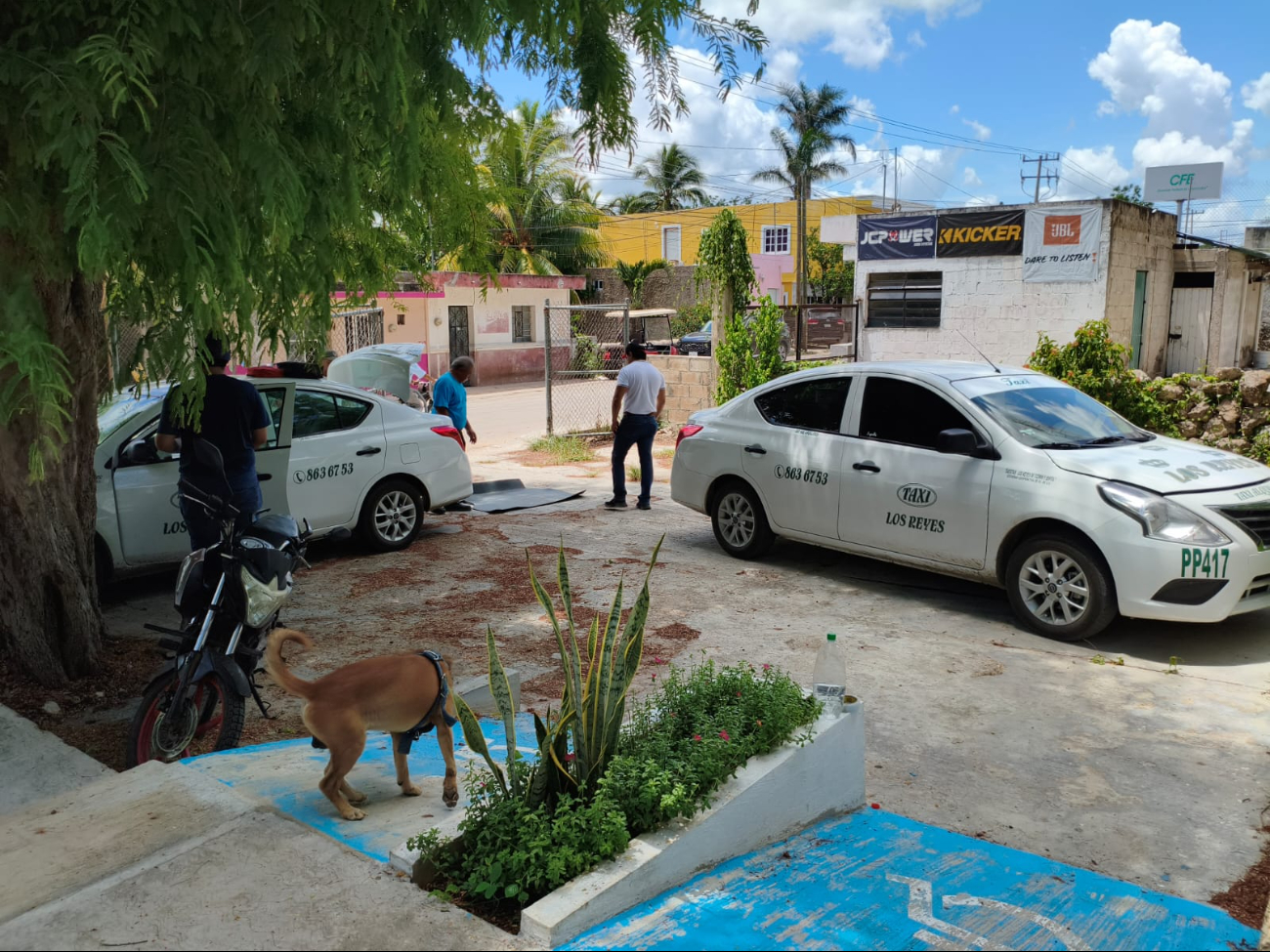 Se permitirá la circulación de 90 taxis con permiso vigente en Tizimín Se permitirá la circulación de 90 taxis con permiso vigente en Tizimín