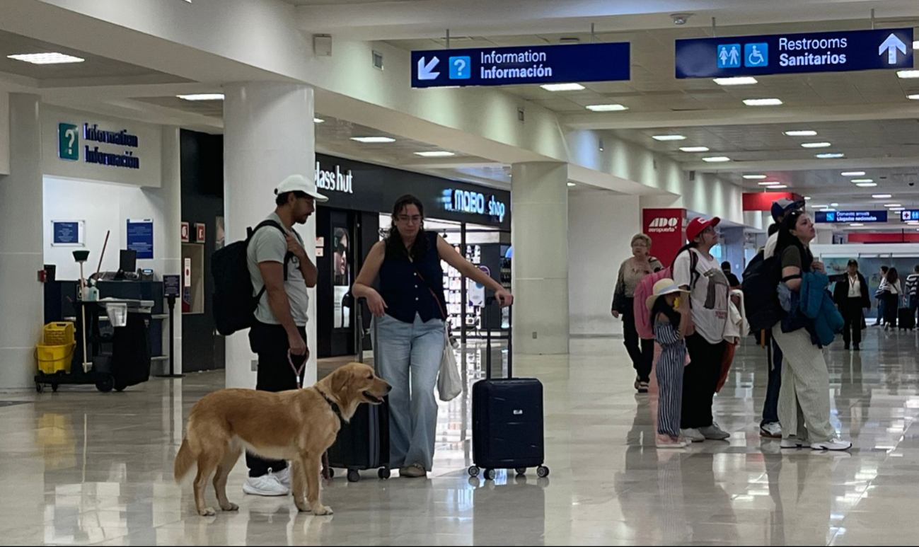 Después de disfrutar del parque de la terminal, Luna ya estaba lista para subir al avión Después de disfrutar del parque de la terminal, Luna ya estaba lista para subir al avión