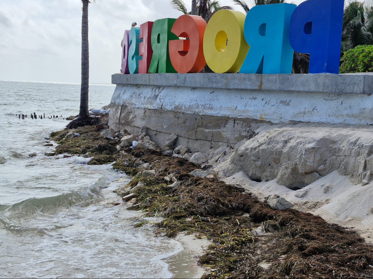  Marea baja evidencia la grave erosión en las playas de Progreso