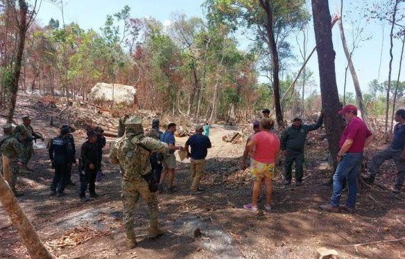 Gobierno desmantela viviendas pero aún quedan invasores en la reserva de Balamkú Gobierno desmantela viviendas pero aún quedan invasores en la reserva de Balamkú