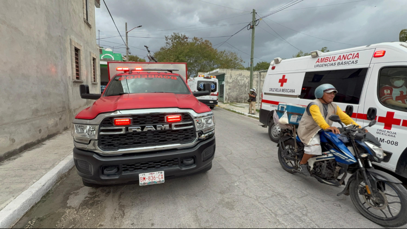 Hombre muere tras ataque de abejas en su casa en Vista Hermosa, Campeche Hombre muere tras ataque de abejas en su casa en Vista Hermosa, Campeche
