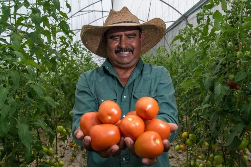 La feria también incluirá la venta de productos agroecológicos, libres de agroquímicos, y artículos de manejo ambiental La feria también incluirá la venta de productos agroecológicos, libres de agroquímicos, y artículos de manejo ambiental