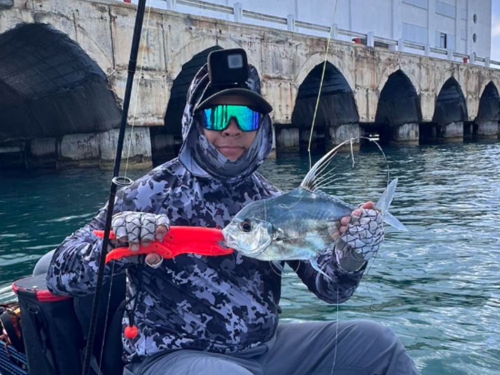   Presencia de pámpanos africanos atrae a pescadores al muelle fiscal de Progreso   