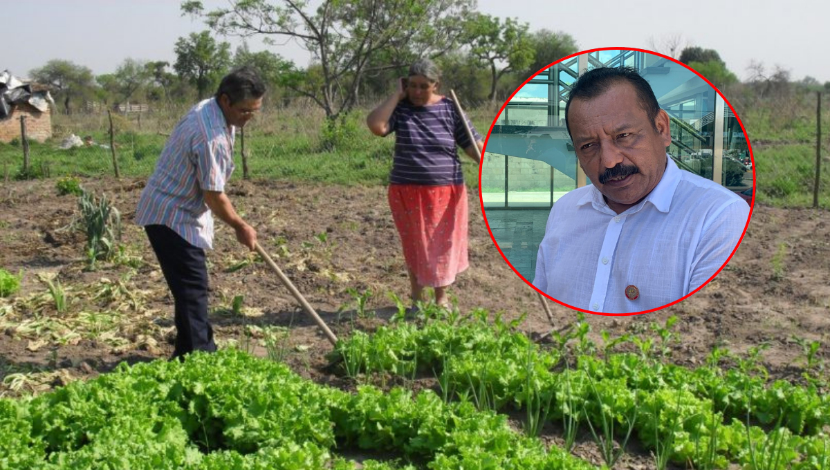 Marcharán más de 13 mil campesinos excluidos de programas federales en Campeche