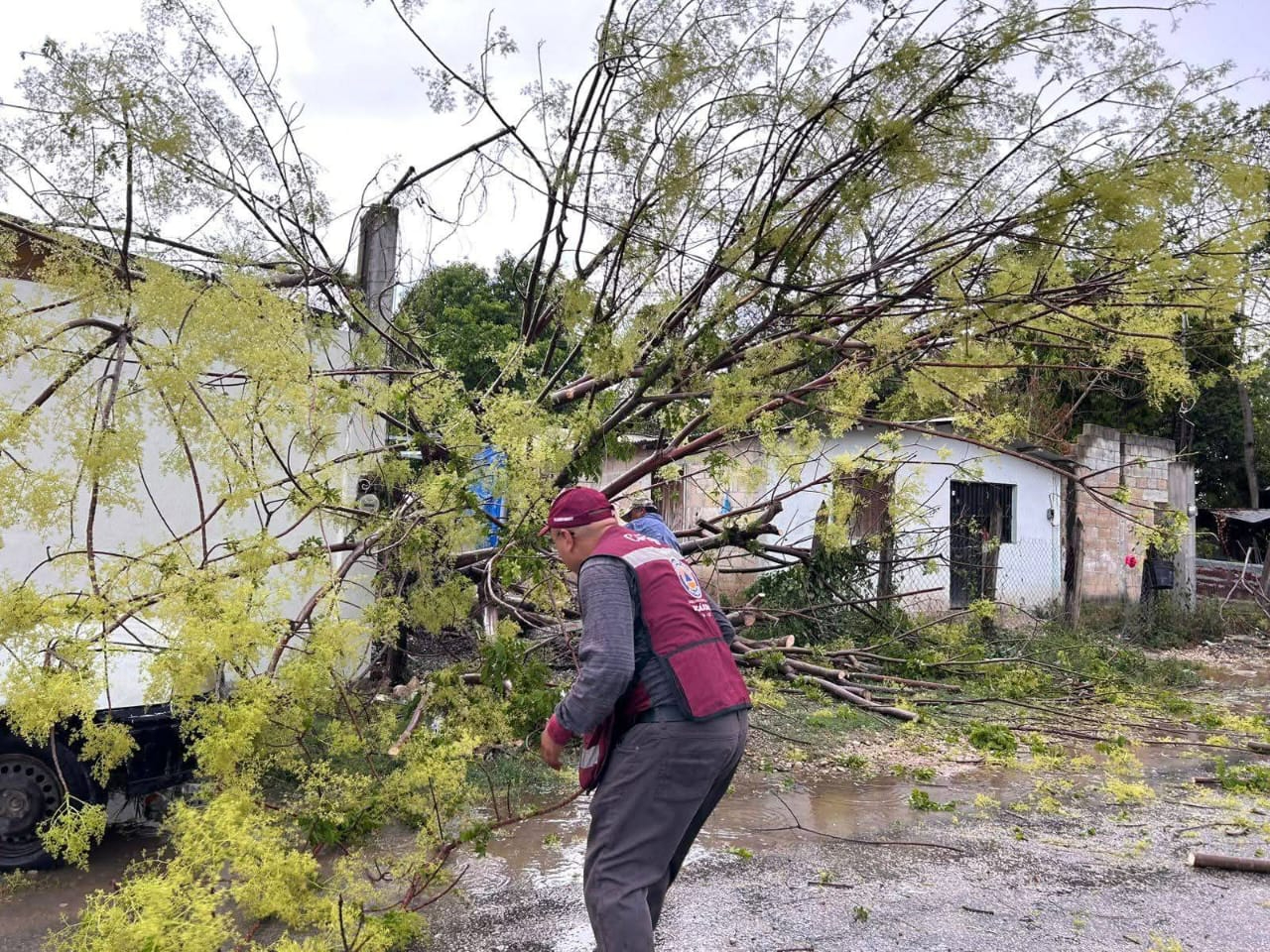 ¿Cómo hacer tu plan de emergencia en Campeche? Protección Civil te guía