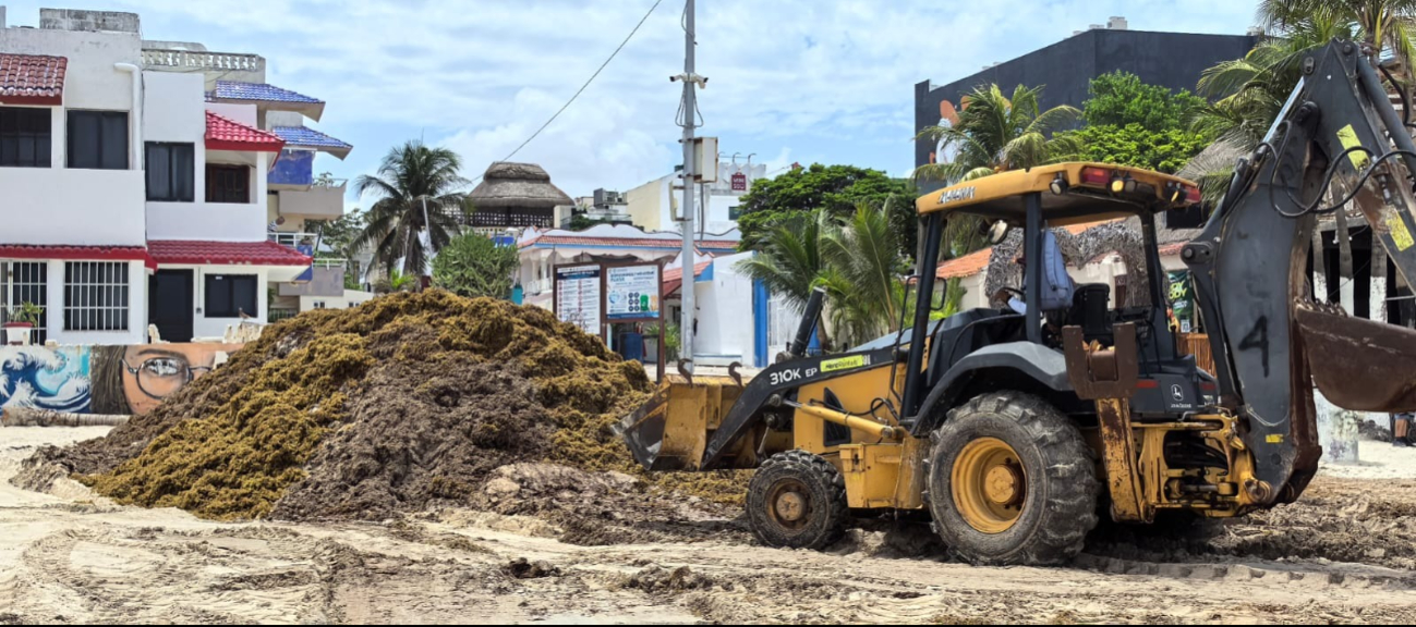 Sur de Quintana Roo invadido por sargazo Sur de Quintana Roo invadido por sargazo