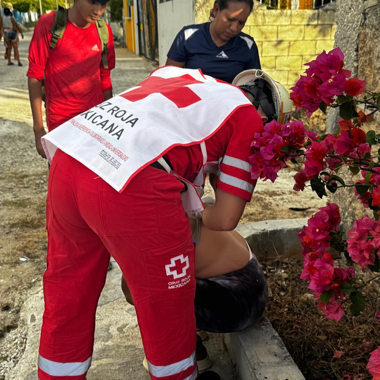 Dos hombres fueron los que recibieron las picaduras; 10 habitantes tuvieron crisis nerviosa. Dos hombres fueron los que recibieron las picaduras; 10 habitantes tuvieron crisis nerviosa.
