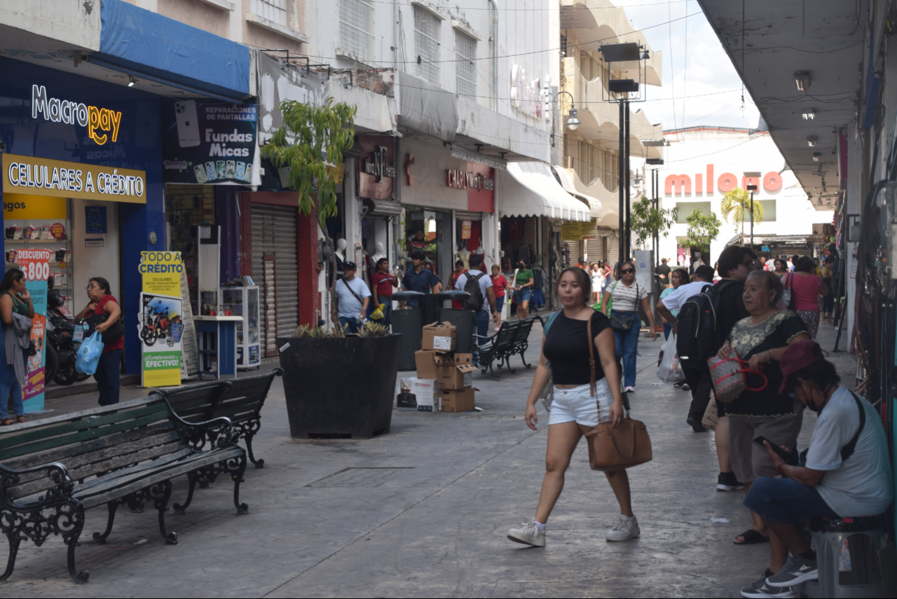 Actualmente, 10 jóvenes trabajan en el levantamiento de encuestas y análisis del entorno