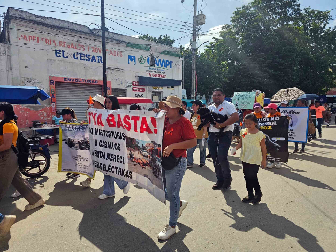 Colectivos, asociaciones civiles y habitantes caminarán para exigir el bienestar de todas las especies