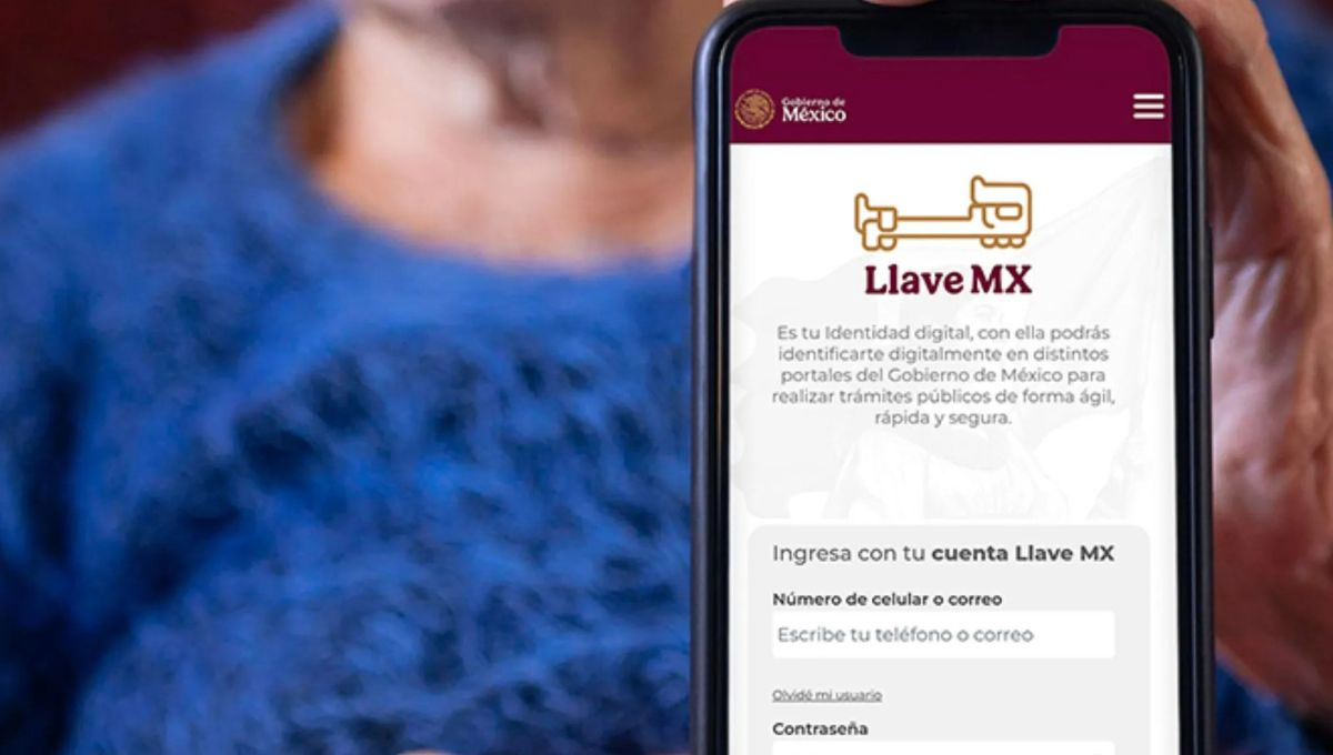 En el futuro, se trabaja en el desarrollo de una identidad digital más robusta En el futuro, se trabaja en el desarrollo de una identidad digital más robusta