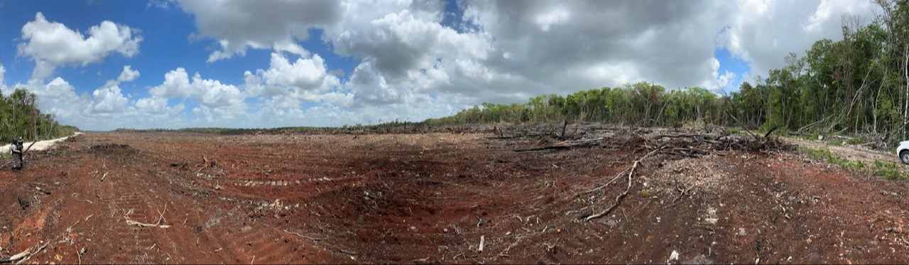 Estas actividades modificaron de manera profunda el paisaje forestal y fragmentaron el hábitat de los animales silvestres, algunos protegidos. Estas actividades modificaron de manera profunda el paisaje forestal y fragmentaron el hábitat de los animales silvestres, algunos protegidos.