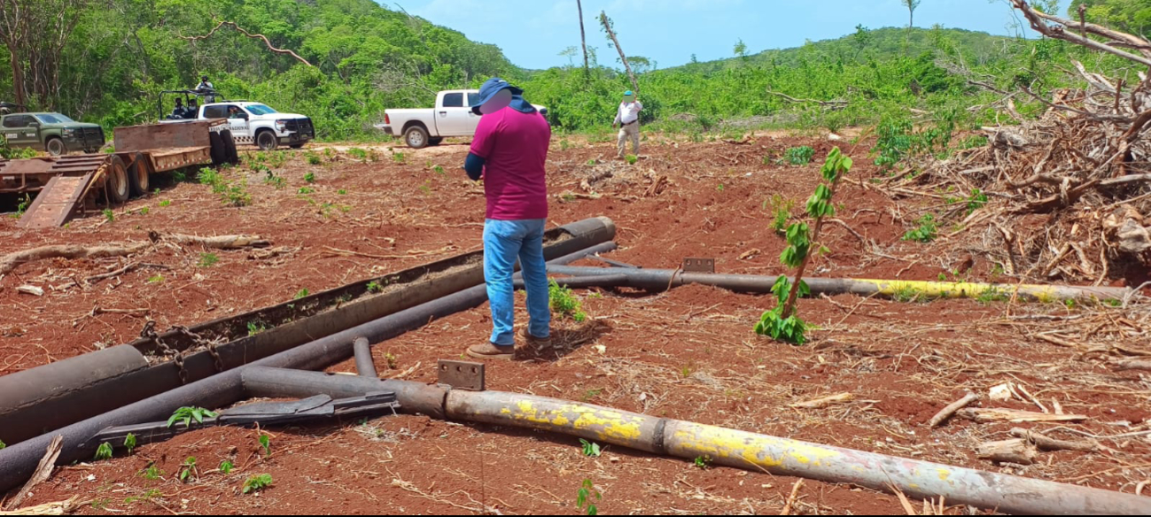La superficie afectada evidencia su conversión para las actividades agroindustriales.