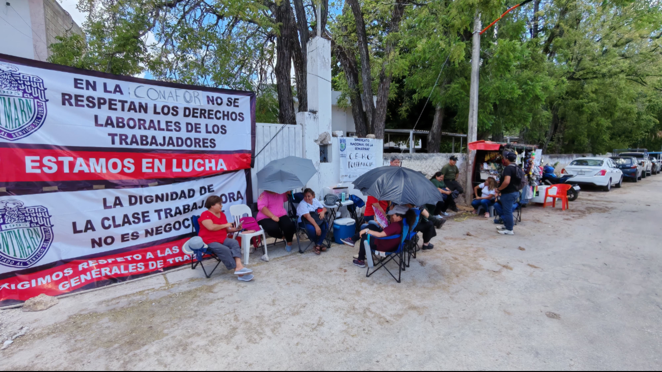 Sindicato de Semarnat y Conafor toma instalaciones en Campeche por descuentos laborales indebidos